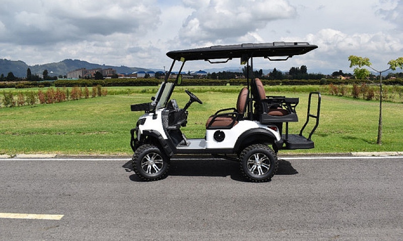 Carrito De Golf Mavi...