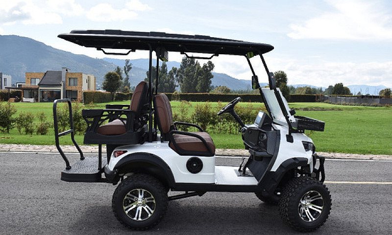 Carrito De Golf Mavi...