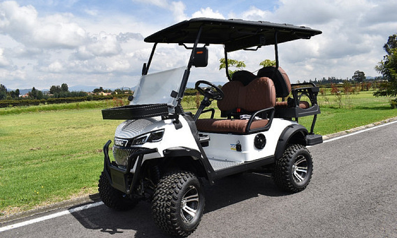 Carrito De Golf Mavi...