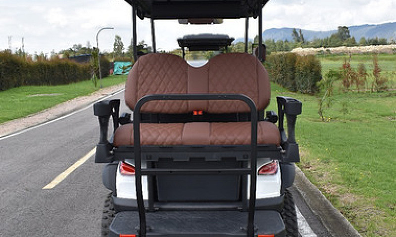 Carrito De Golf Mavi...