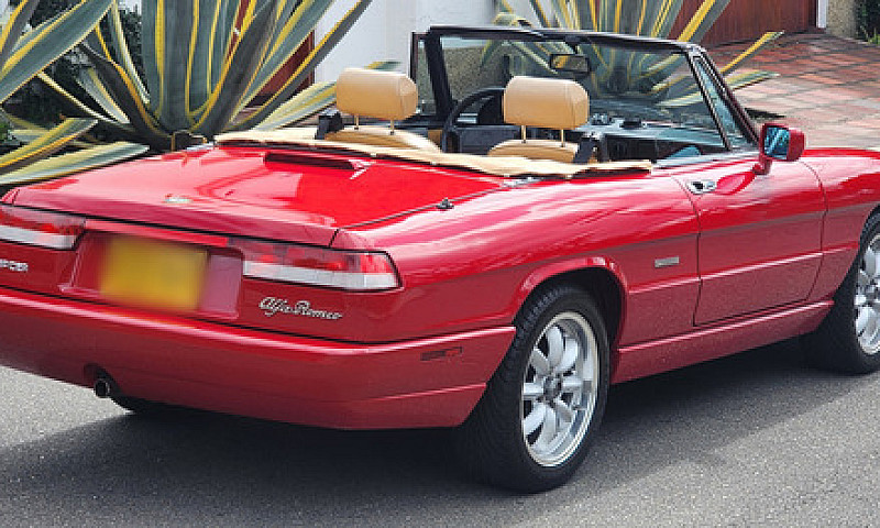 Alfa Romeo Spider 19...