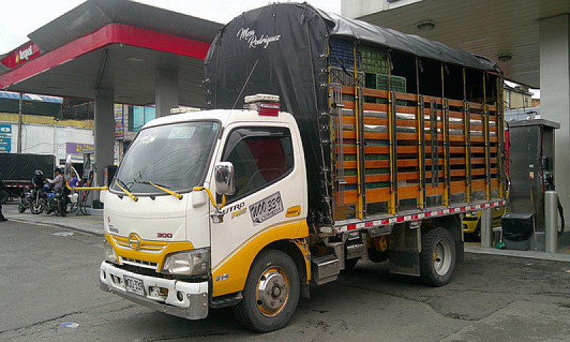 Camión Hino Dutro Pr...