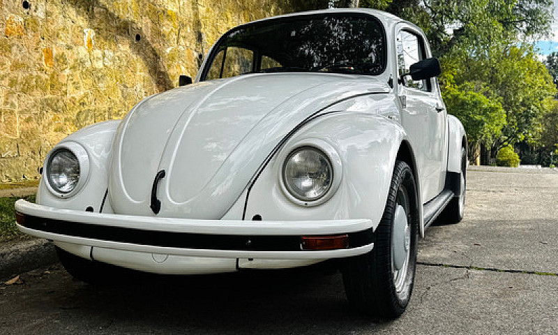 Volkswagen Escarabaj...