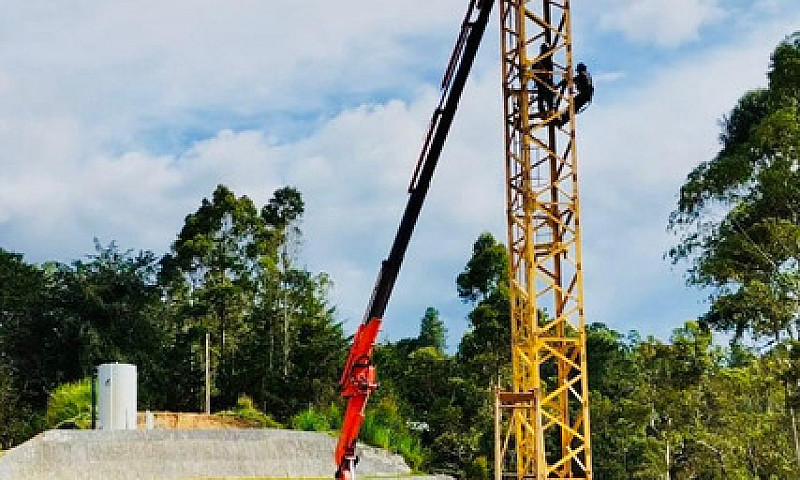 Grua Articulada Inte...