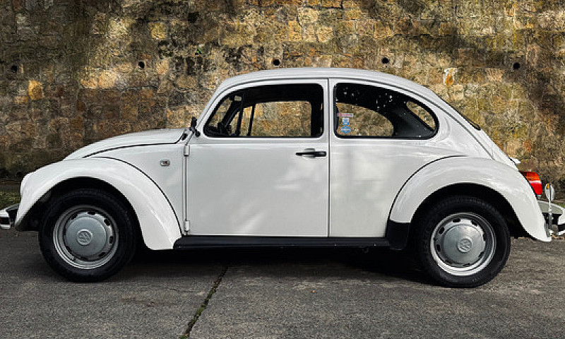 Volkswagen Escarabaj...