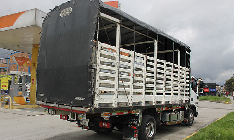 Foton Aumark 3.8 Fqr...