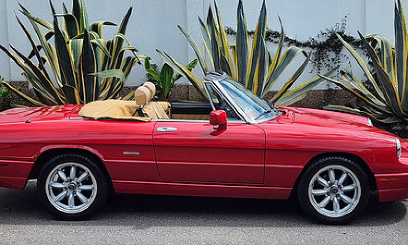 Alfa Romeo Spider 19...