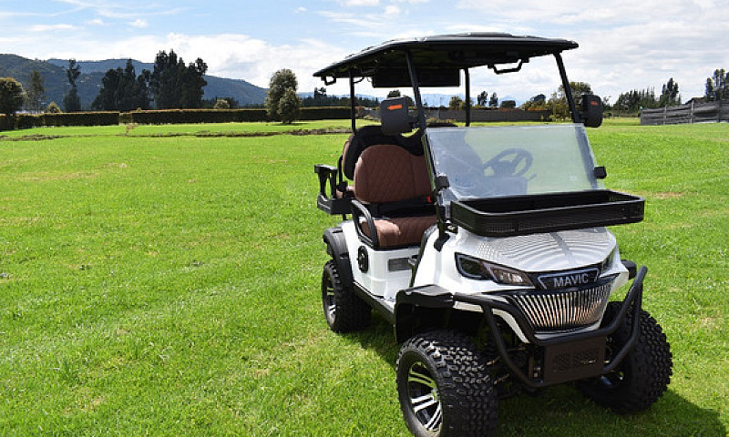Carrito De Golf Mavi...