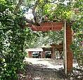 Vendo Permuto Finca Mesitas