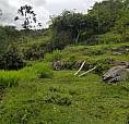 Finca A Raiz Con Casa