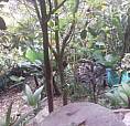!!Ganga!! Se Vende Casa Lote