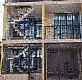 Apartamento Para Renta