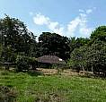 Finca De 150 Hectáreas