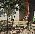 Lindo Apartamento En Un Primer  Piso Con 2 Habitaciones
