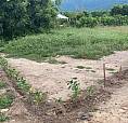 Vendo Lote Cerca A Playa En Santa Marta