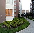 Vendo O Arriendo Apartamento Amarilo Conjunto Arauco Villavicencio