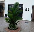 Casa Rentable
