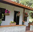 Arriendo Casa (Pequeña) Campestre En La Loma Del Chocho Envigado