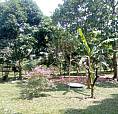 Se Vende Magnifica Finca De 1 Hectarea Con Casa, A 20 Minutos De Granada (Meta) , Con Arboles Frutales, Marraneras