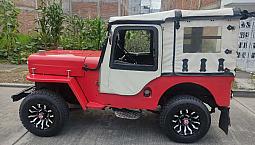 Vendo Jeep Willys Modelo 1959, Funcional Todo