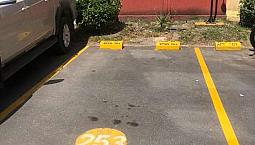 Espectacular Apartamento En Arriendo