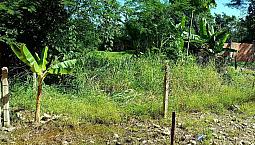 Vendo O Permuto Lote (Anillo Vial)