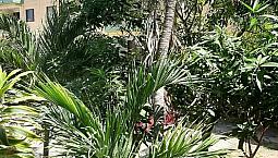 Arriendo Apartamento Con Closet Y Baño Para Personas Que Trabajen   De La Universidad Metro Politana De Barranquilla