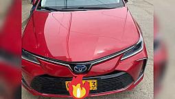 Corolla Hibrido