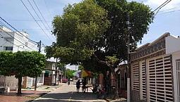 Vendo Casa Ubicada Barrio La Floresta