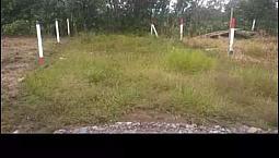 Lote Bonito