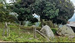 Lote De 20X35, 700Mts2, A Borde De Carretera