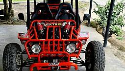 Vendo Buggy Gs Moon. 1000 C.c