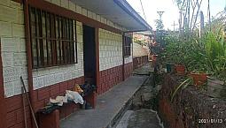 Se Vende Finca Cafetera Vía Neira