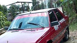 Carro Familiar