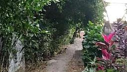 Vendo Casa Finca Con Escrituras