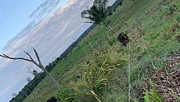 Se Vende Finca En Pto Lleras