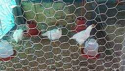 Vendo Finca En Zapatoca