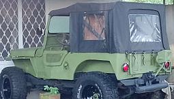 Campero  Wyllis Minguerra  4X4