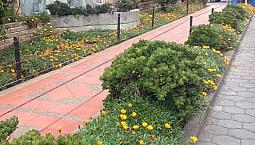 Acogedor Y Amplio Apartamento Muy Céntrico En Pasto