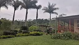 Venta Finca De Aguacate