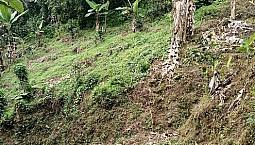 Linda Finca De Tres Plazas En Café  Ubicada En Portugal De Piedras
