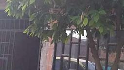 Venta De Casa En Obra Gris