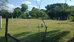 Venta O Permutode Lotes Campestre En Pachaquiaro Guichiral De 20*50 Con Servicio De Luz Y Agua