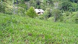 Venta De Finca