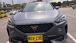 Cupra Formentor 2.0 Tsi Mate Dsg